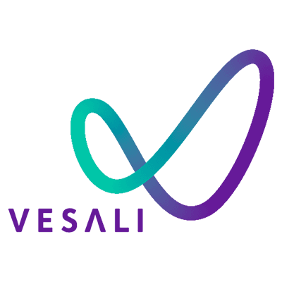 Vesali Educação